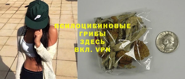 ПСИЛОЦИБИНОВЫЕ ГРИБЫ Алексин