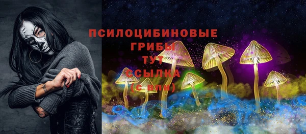 первитин Алексеевка
