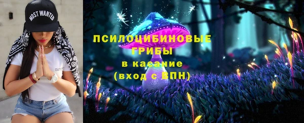 ПСИЛОЦИБИНОВЫЕ ГРИБЫ Алексин